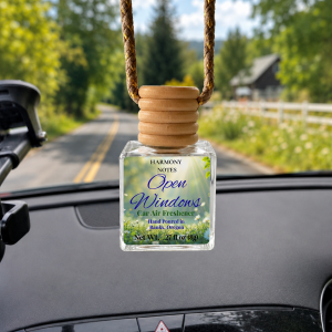 Car Air Freshener